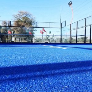 Blue Astroturf